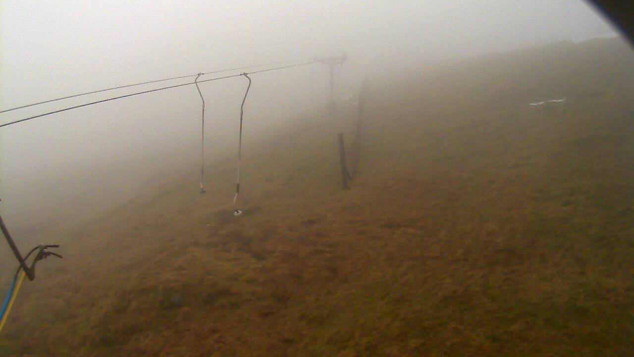 Image from 2022/01/24 for Tow Hut