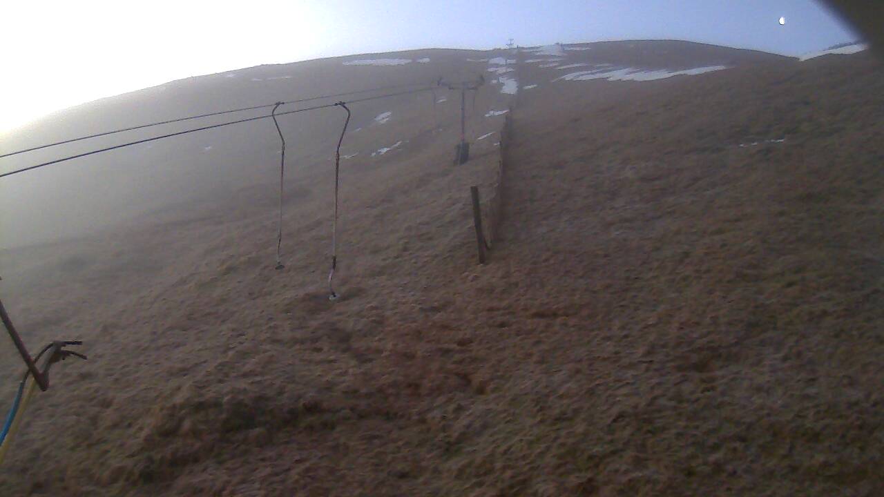 Image from 2022/01/25 for Tow Hut