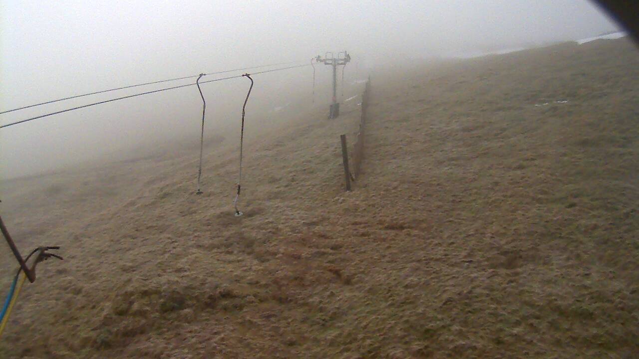 Image from 2022/01/25 for Tow Hut