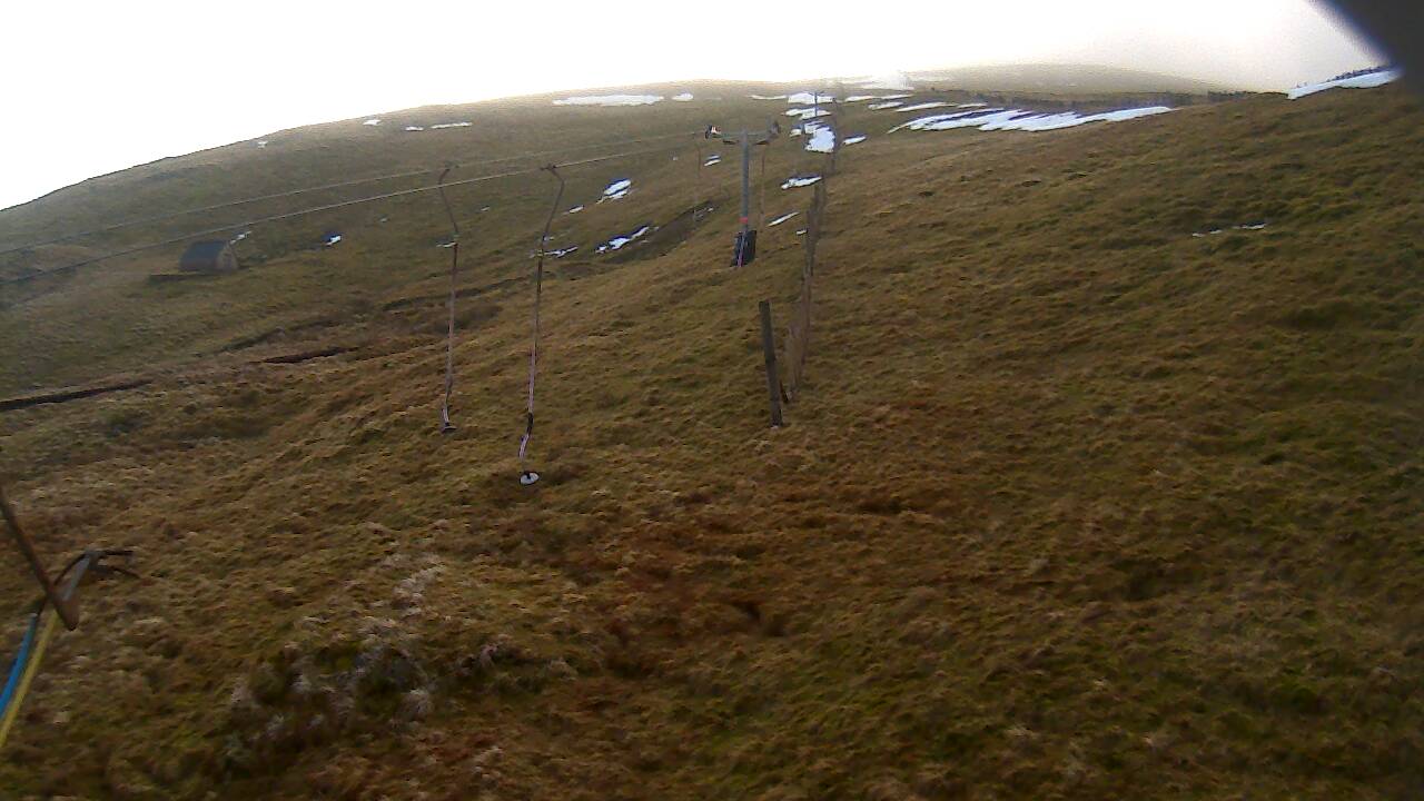 Image from 2022/01/25 for Tow Hut