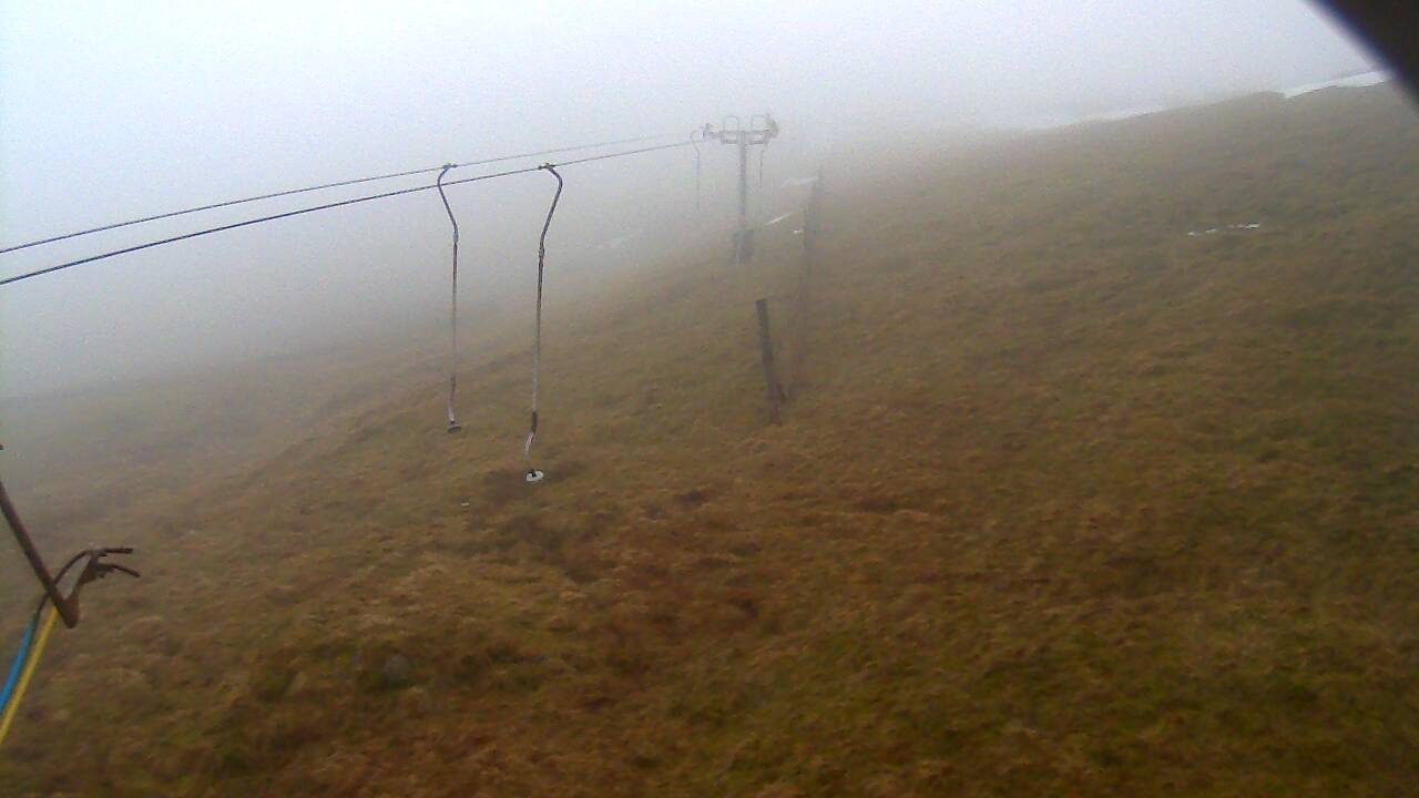 Image from 2022/01/25 for Tow Hut