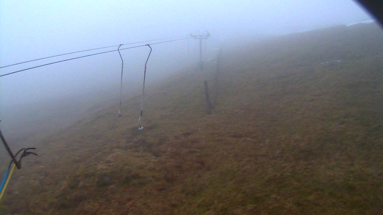 Image from 2022/01/25 for Tow Hut