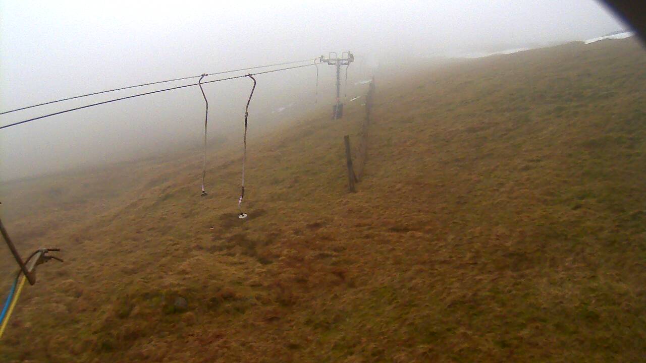 Image from 2022/01/26 for Tow Hut