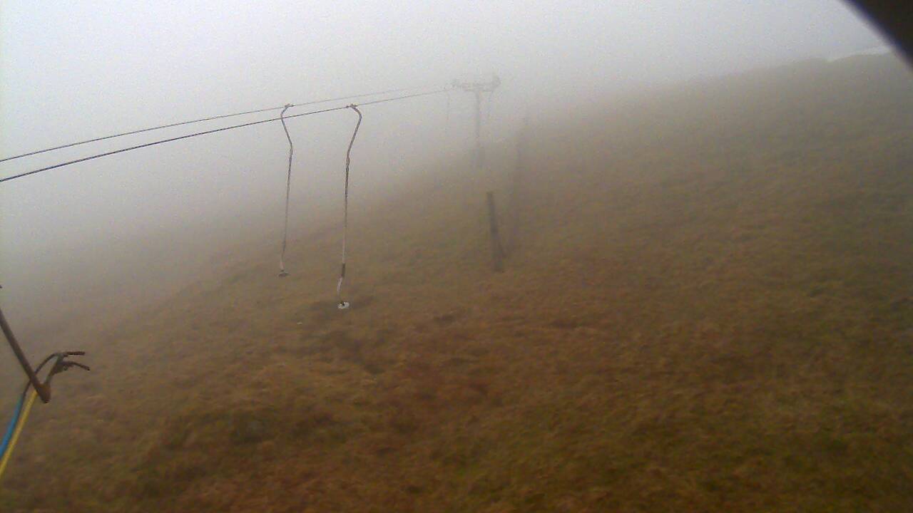 Image from 2022/01/26 for Tow Hut