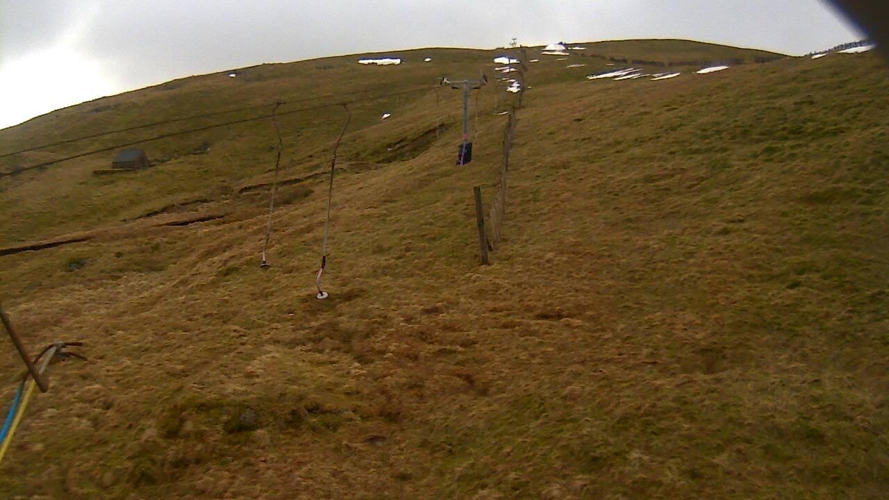 Image from 2022/01/27 for Tow Hut