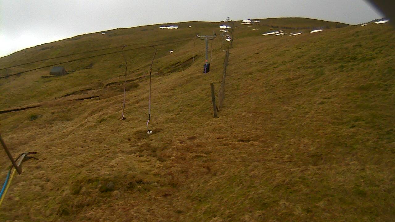 Image from 2022/01/28 for Tow Hut