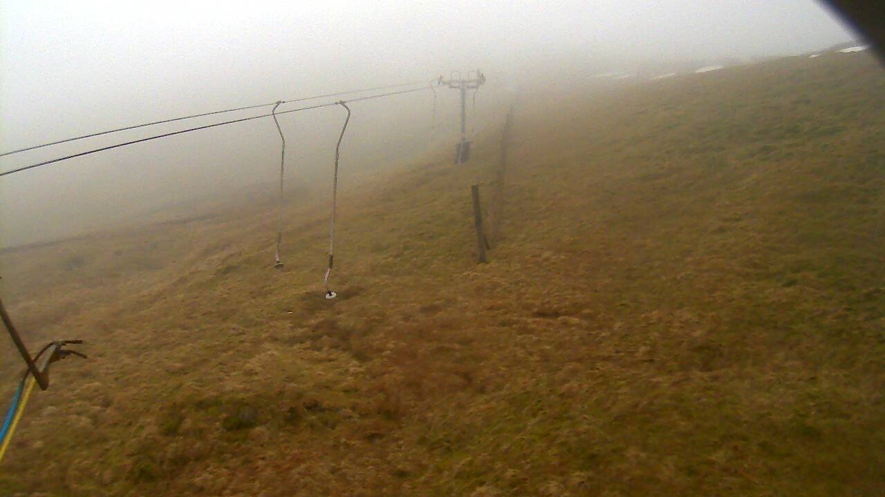 Image from 2022/01/28 for Tow Hut