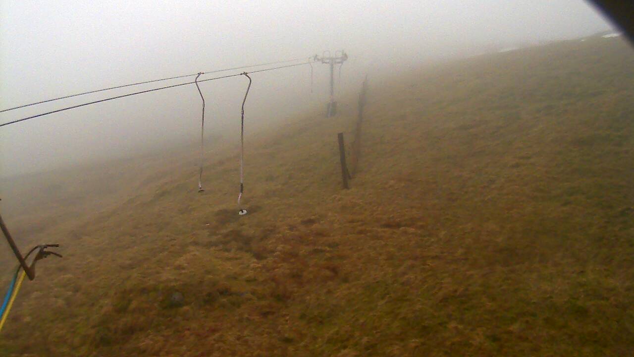 Image from 2022/01/28 for Tow Hut