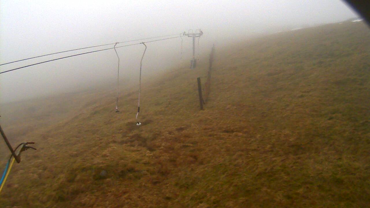 Image from 2022/01/28 for Tow Hut