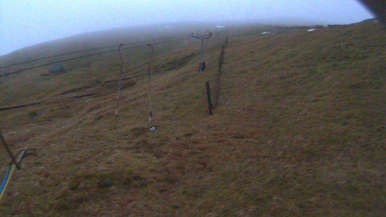 Image from 2022/01/29 for Tow Hut