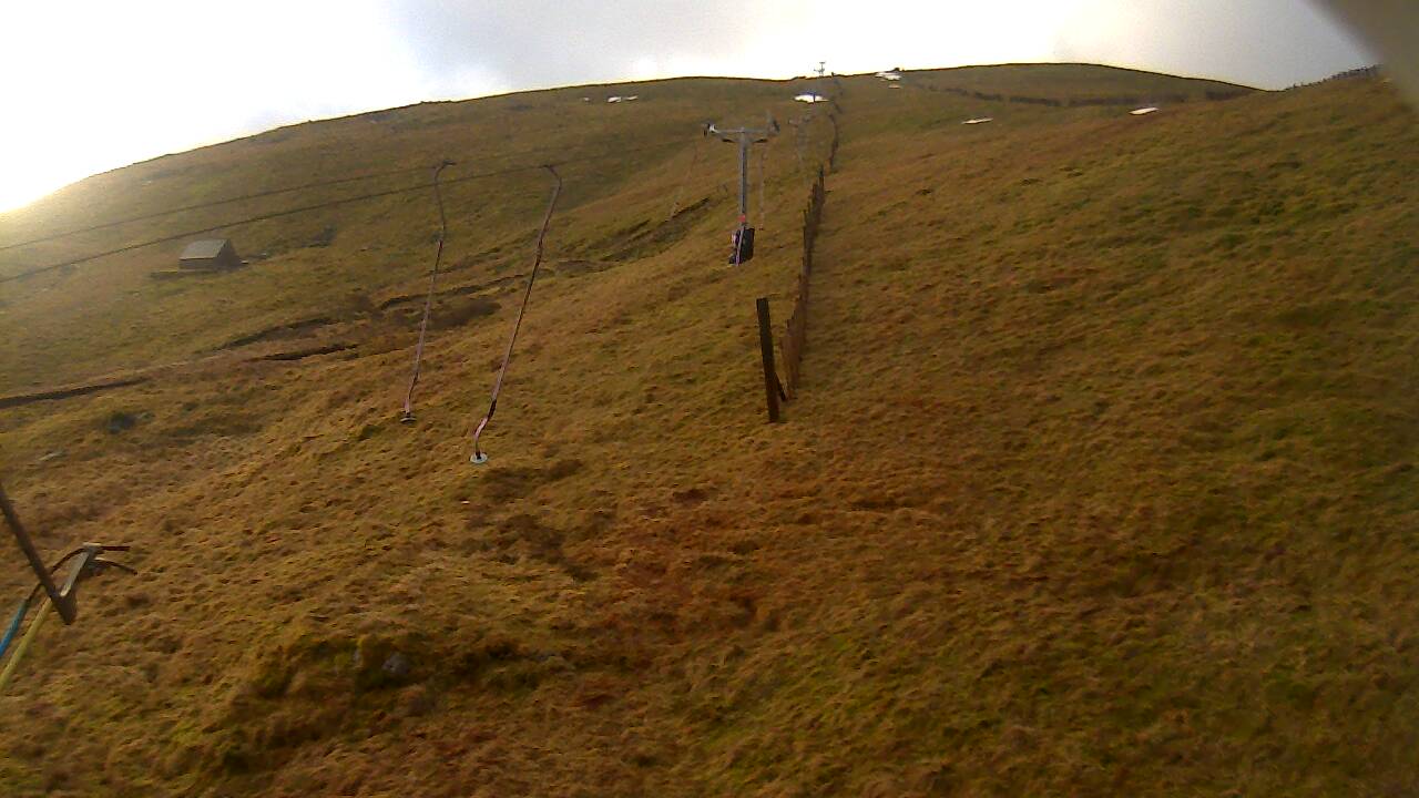 Image from 2022/01/29 for Tow Hut