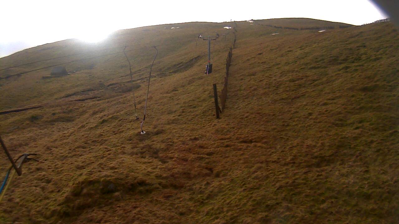 Image from 2022/01/29 for Tow Hut