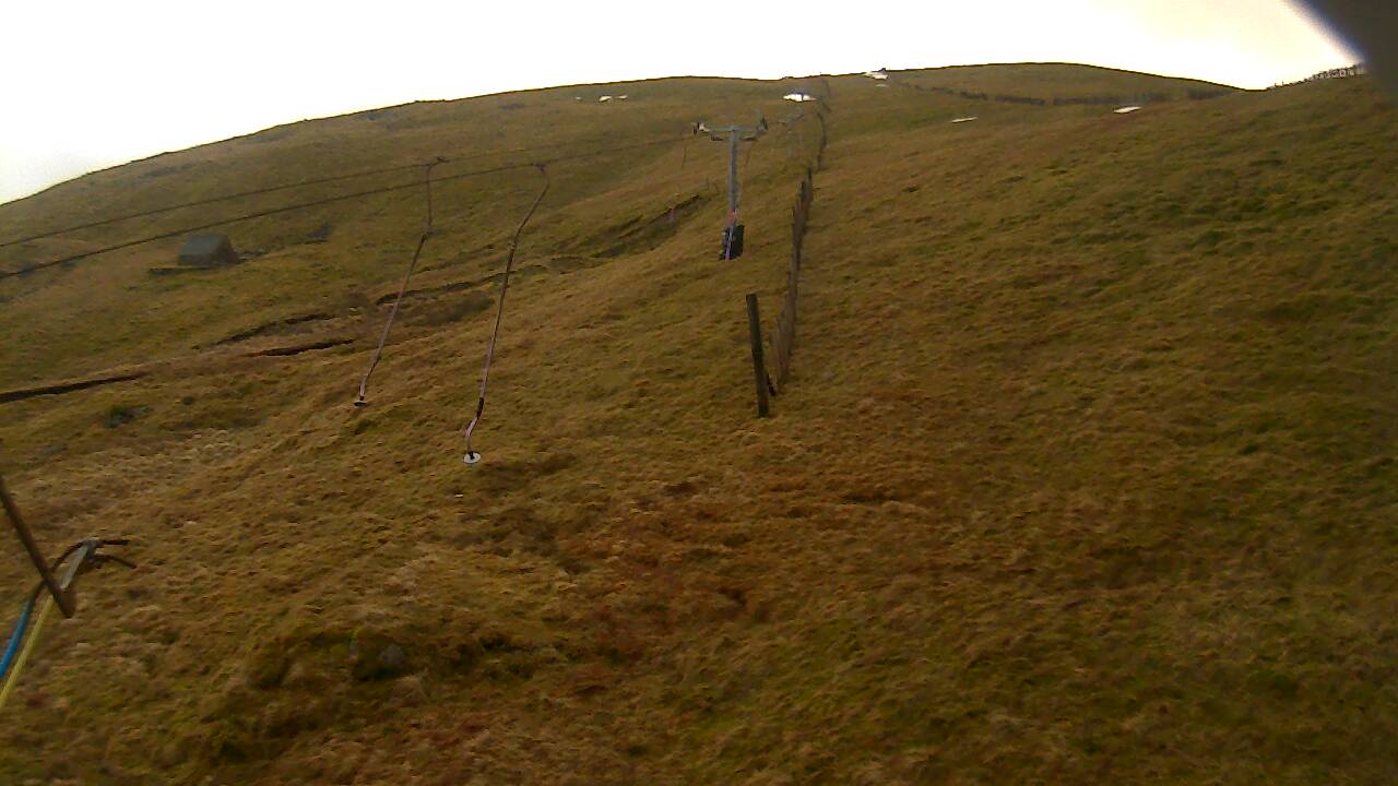 Image from 2022/01/29 for Tow Hut