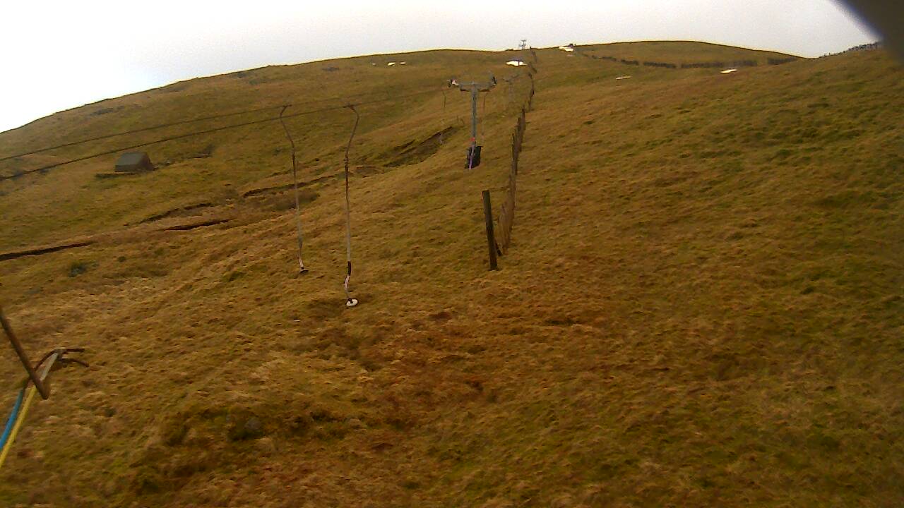 Image from 2022/01/29 for Tow Hut