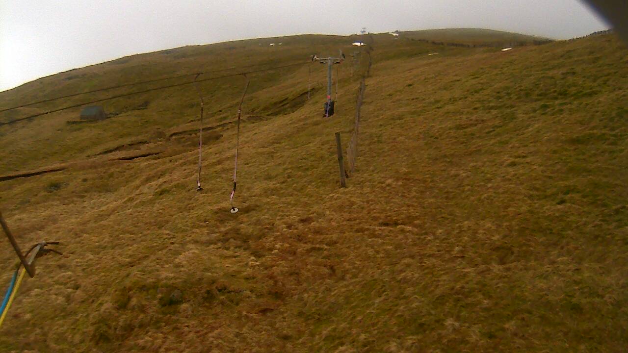 Image from 2022/01/30 for Tow Hut