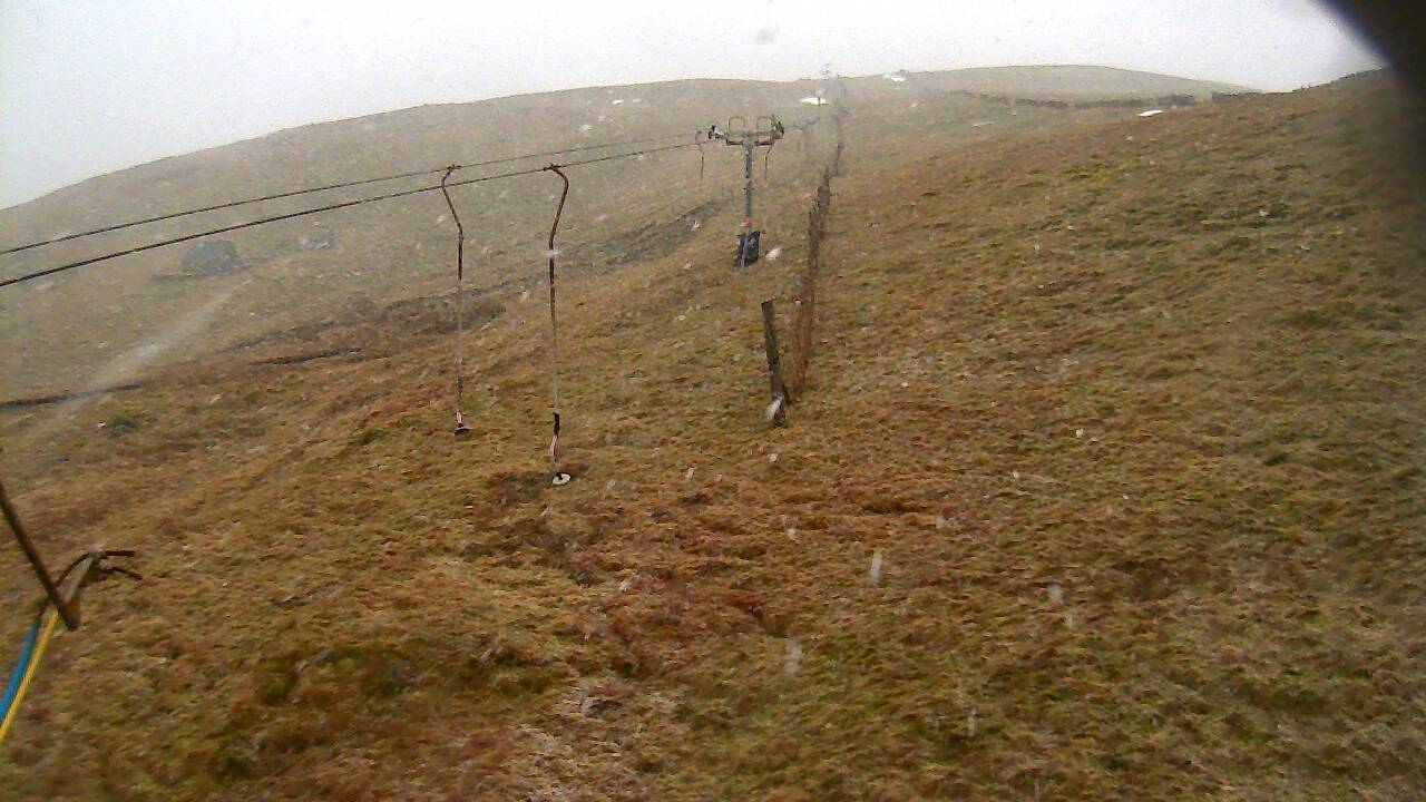 Image from 2022/01/30 for Tow Hut