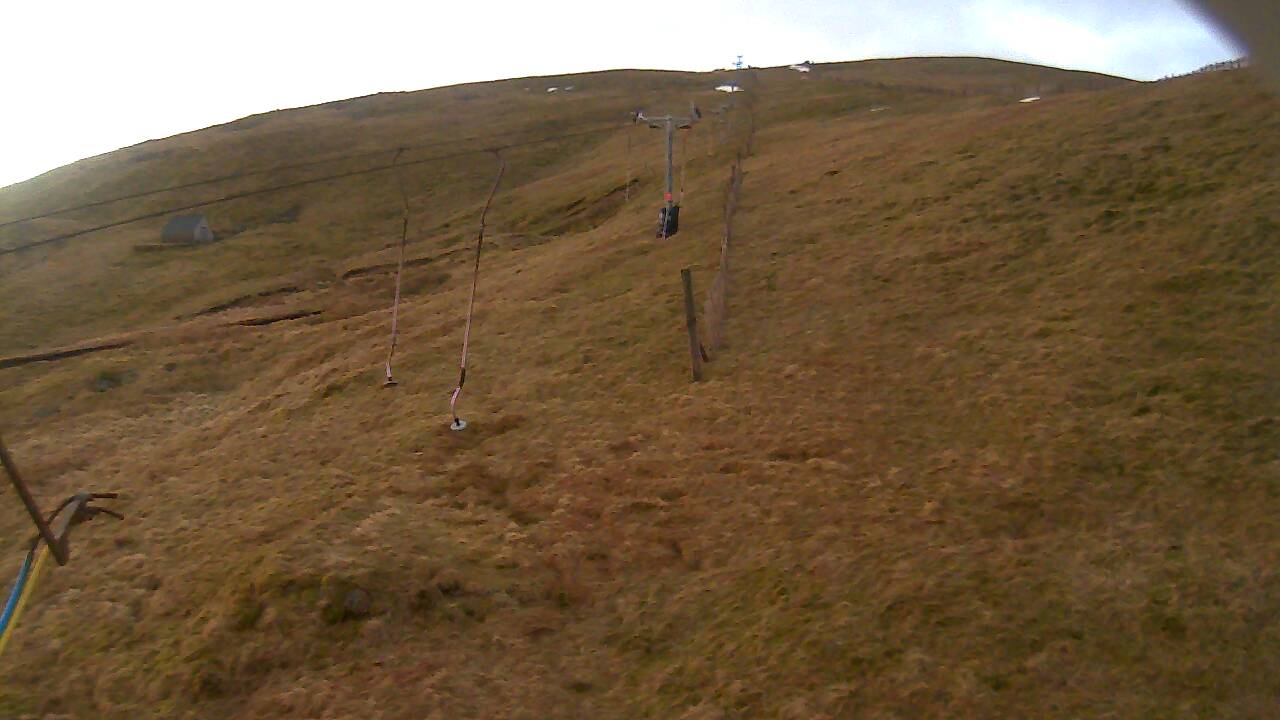 Image from 2022/01/31 for Tow Hut