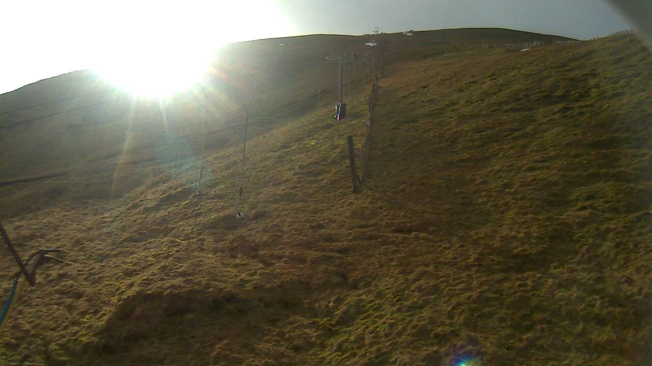 Image from 2022/01/31 for Tow Hut