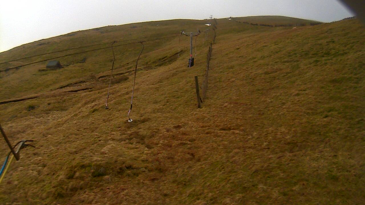 Image from 2022/02/01 for Tow Hut