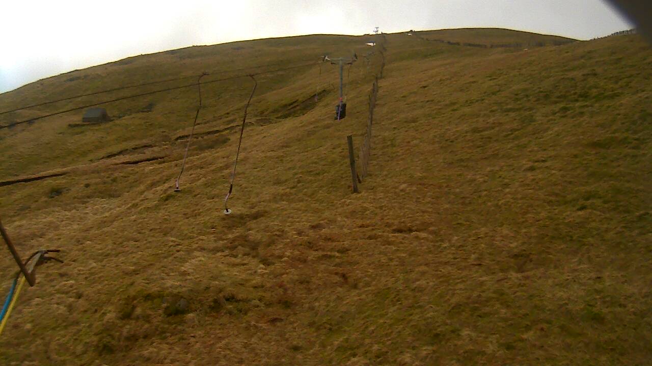 Image from 2022/02/01 for Tow Hut