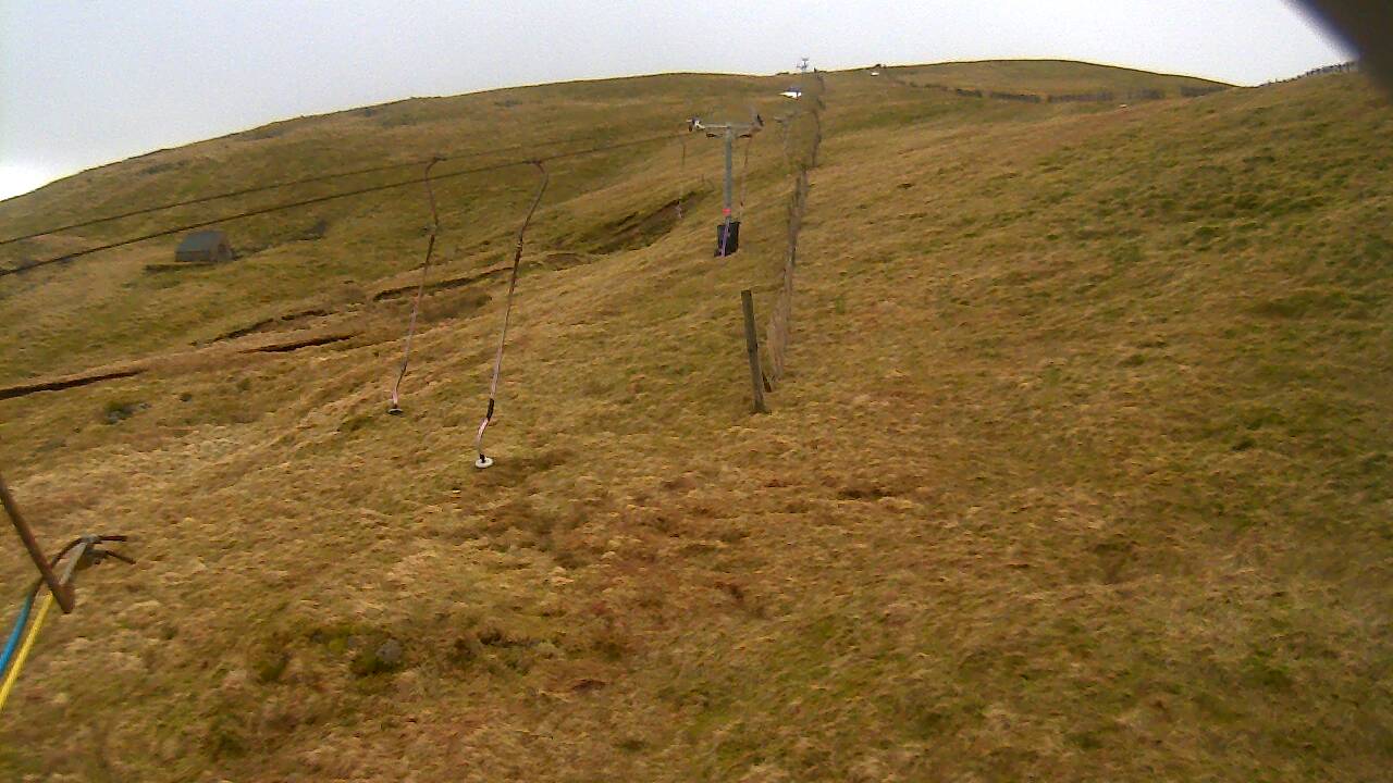 Image from 2022/02/01 for Tow Hut