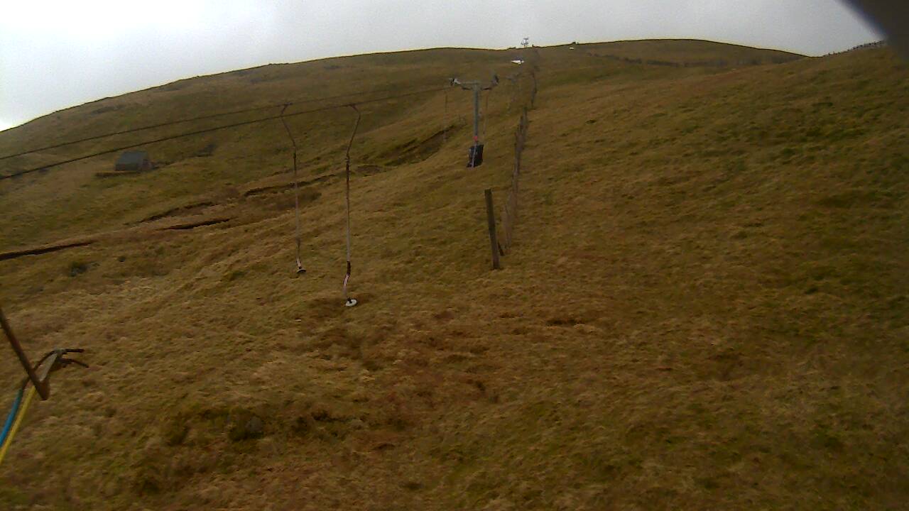 Image from 2022/02/01 for Tow Hut