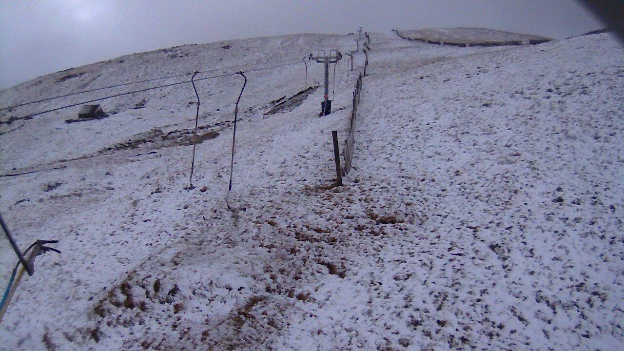 Image from 2022/02/04 for Tow Hut