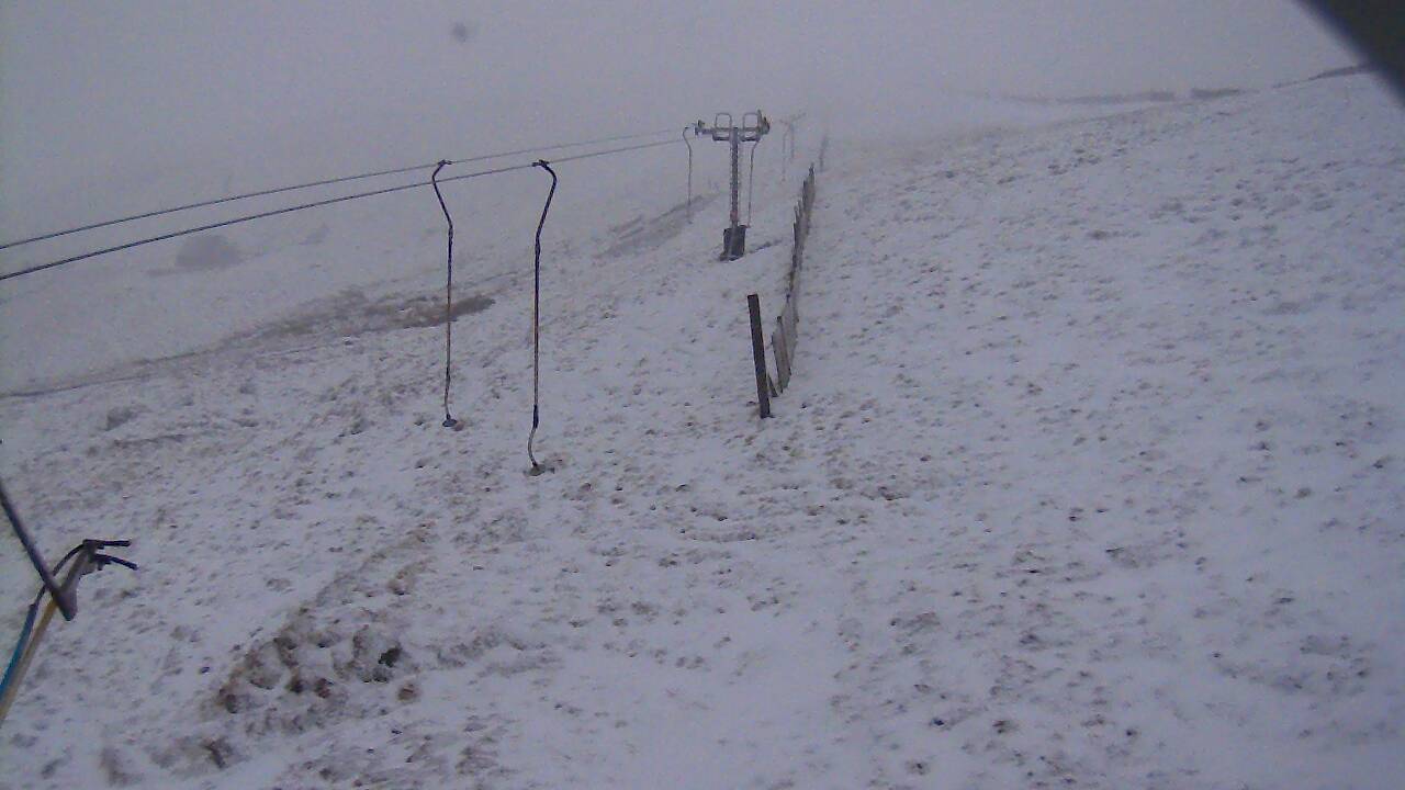 Image from 2022/02/04 for Tow Hut