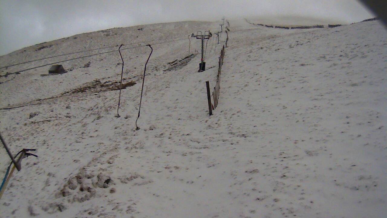 Image from 2022/02/04 for Tow Hut