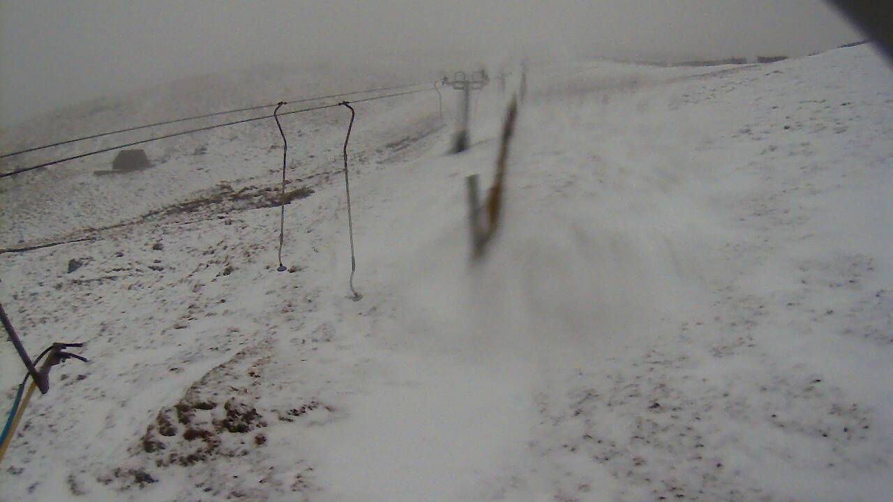 Image from 2022/02/05 for Tow Hut