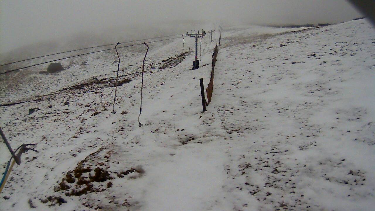 Image from 2022/02/05 for Tow Hut