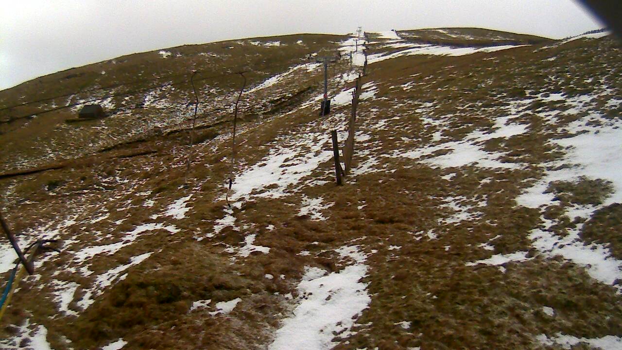 Image from 2022/02/06 for Tow Hut