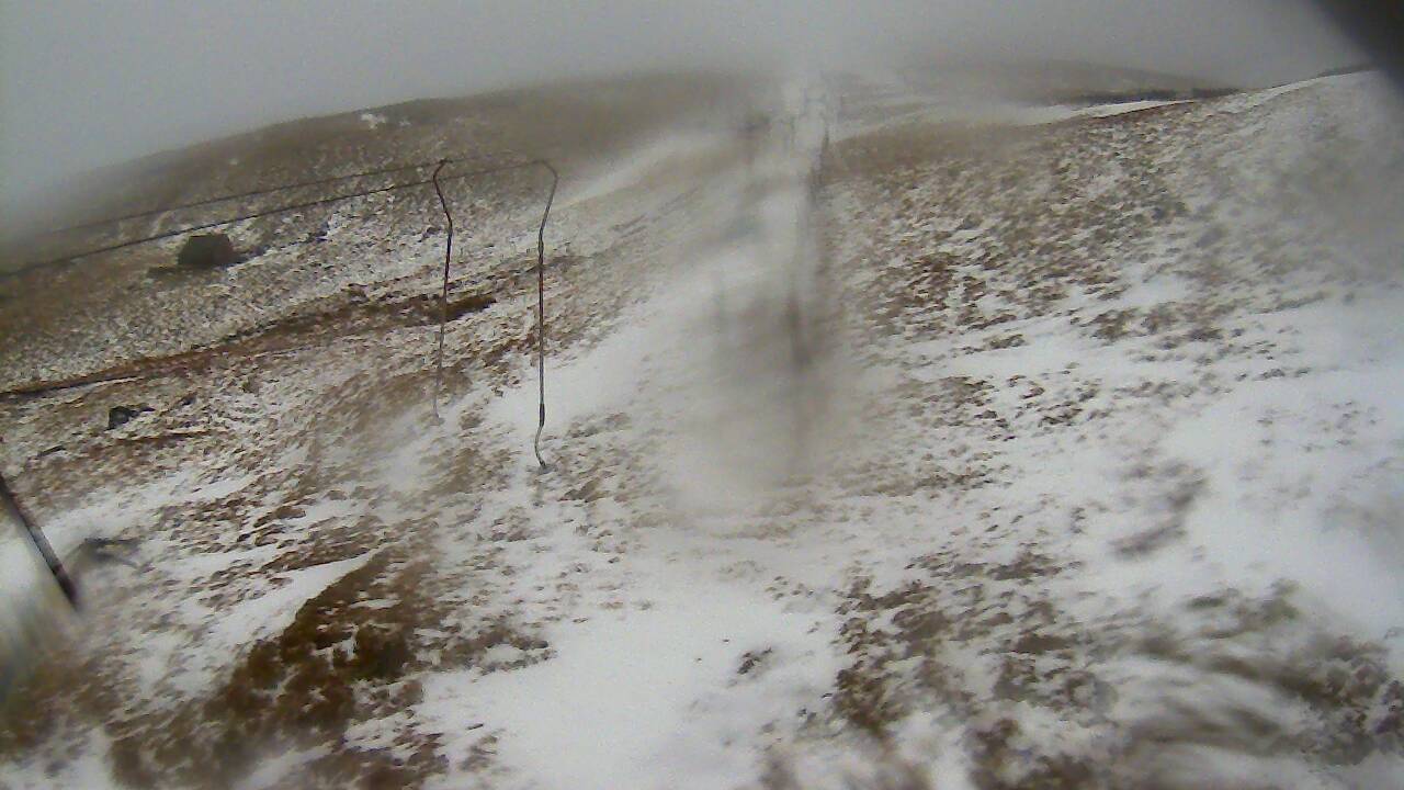 Image from 2022/02/07 for Tow Hut