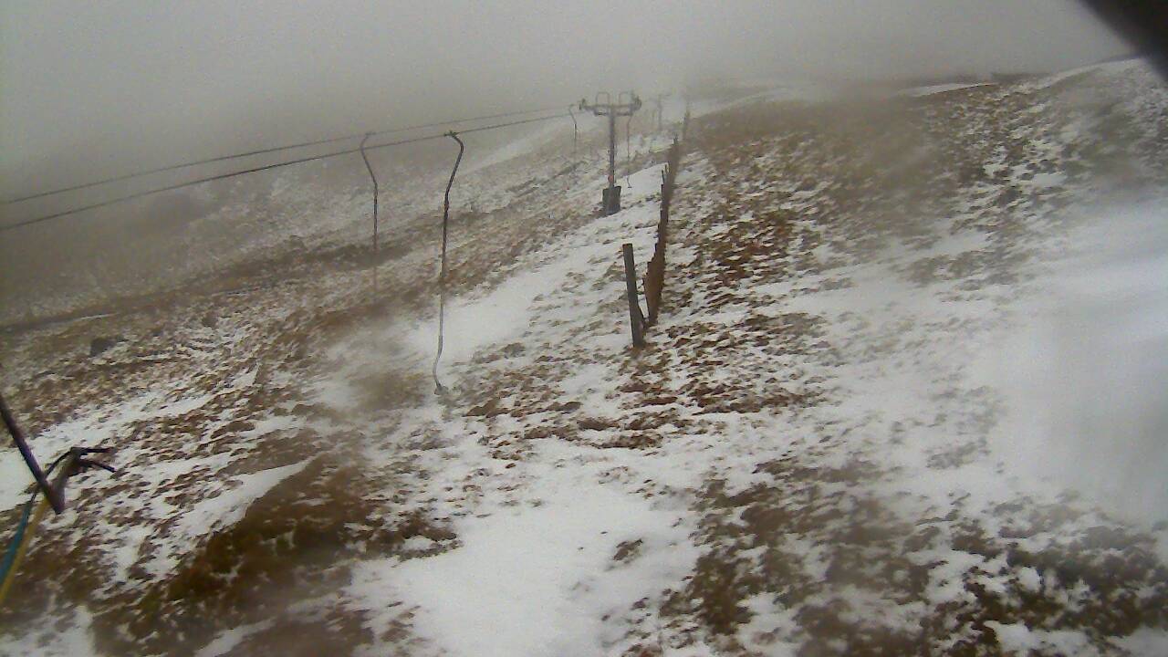 Image from 2022/02/07 for Tow Hut