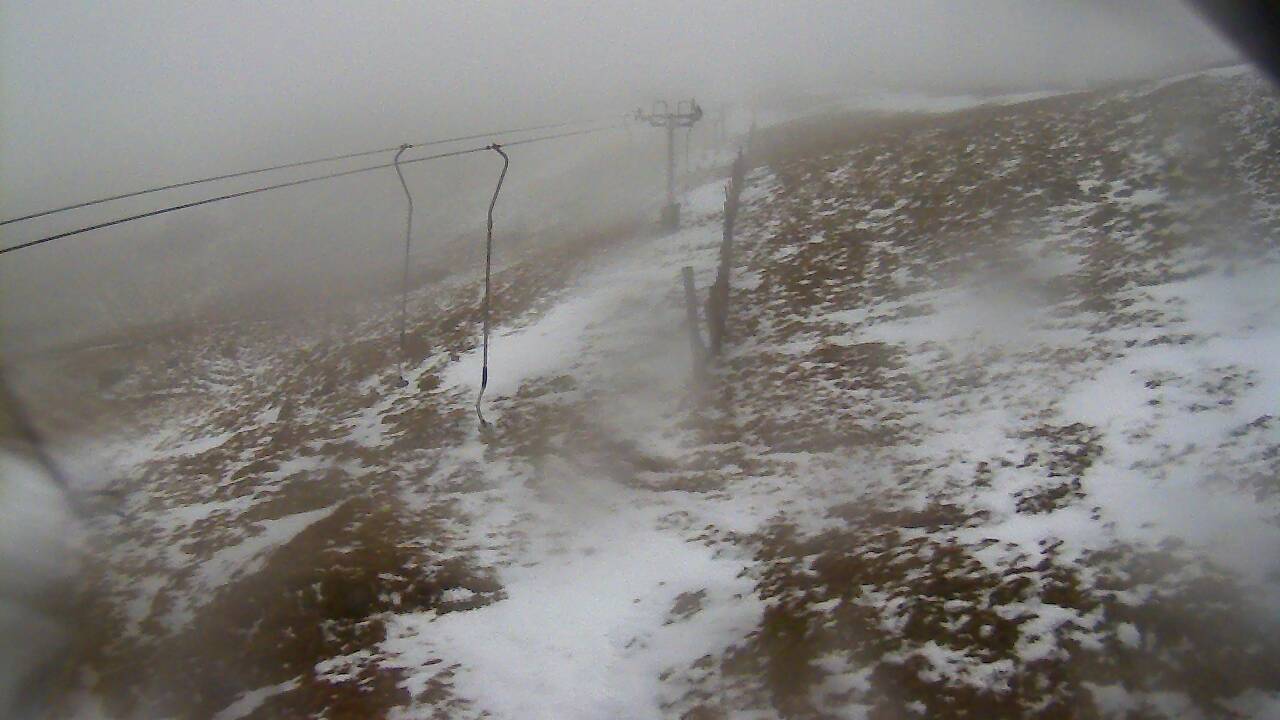 Image from 2022/02/07 for Tow Hut