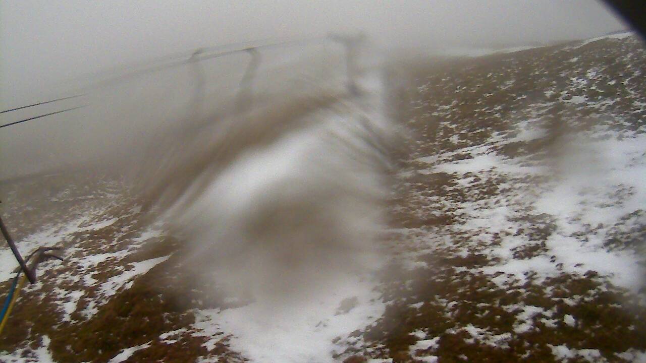 Image from 2022/02/07 for Tow Hut