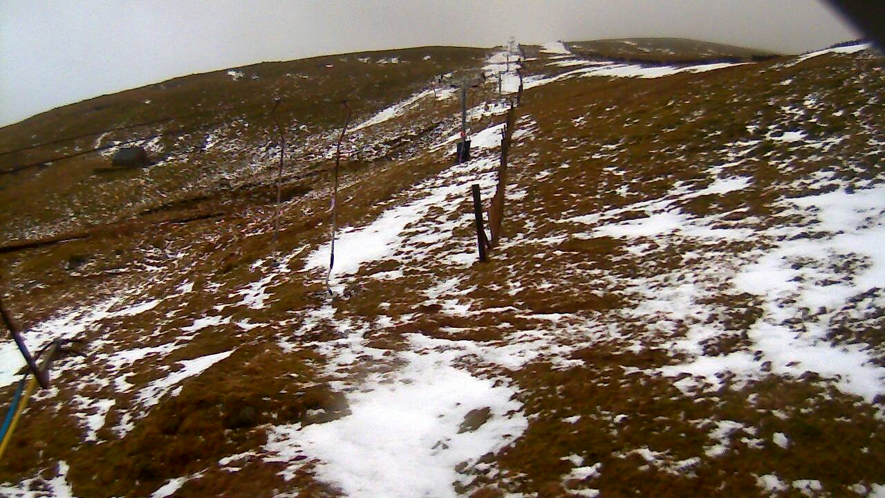 Image from 2022/02/07 for Tow Hut