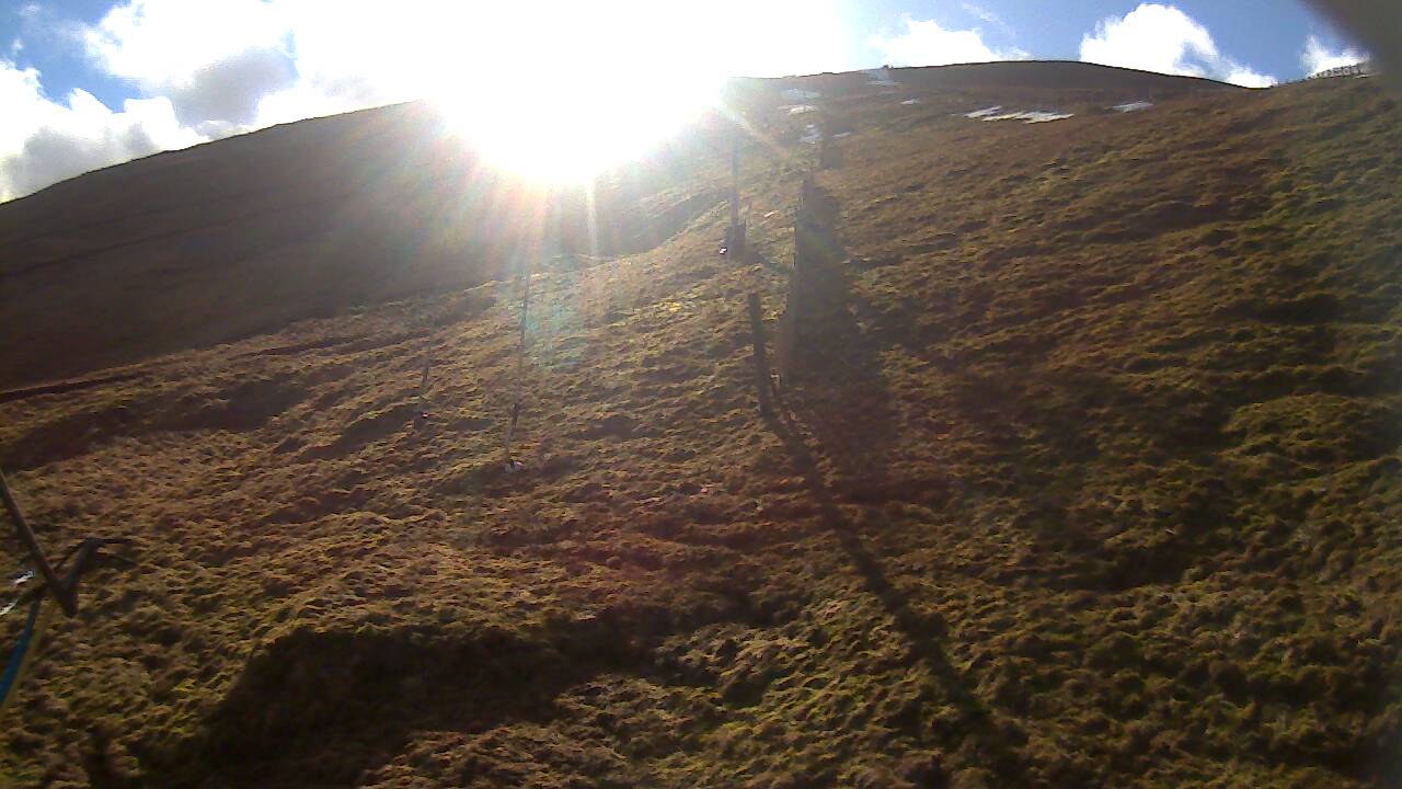 Image from 2022/02/09 for Tow Hut