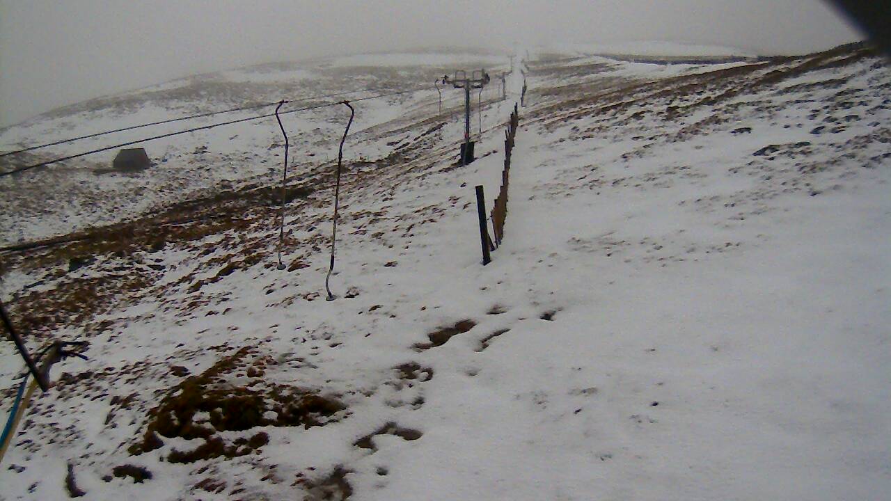 Image from 2022/02/12 for Tow Hut