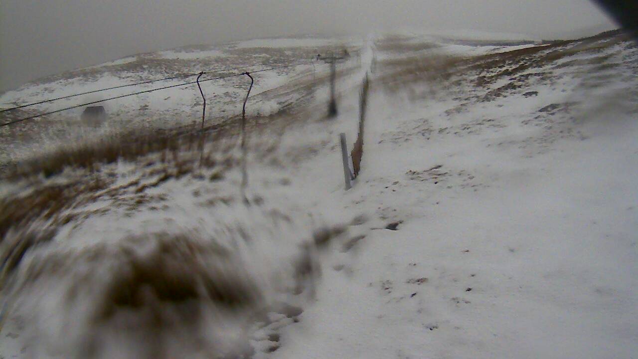 Image from 2022/02/12 for Tow Hut