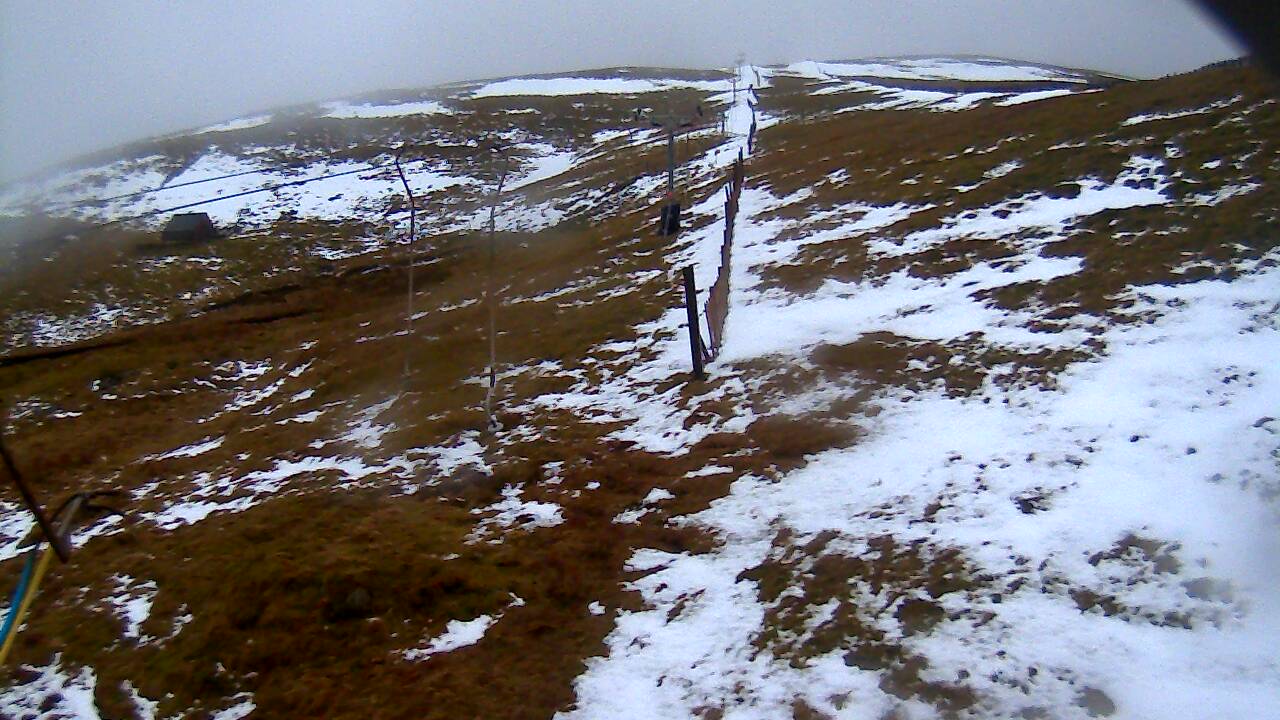 Image from 2022/02/13 for Tow Hut