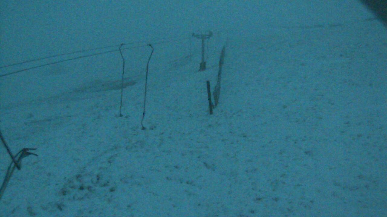 Image from 2022/02/14 for Tow Hut