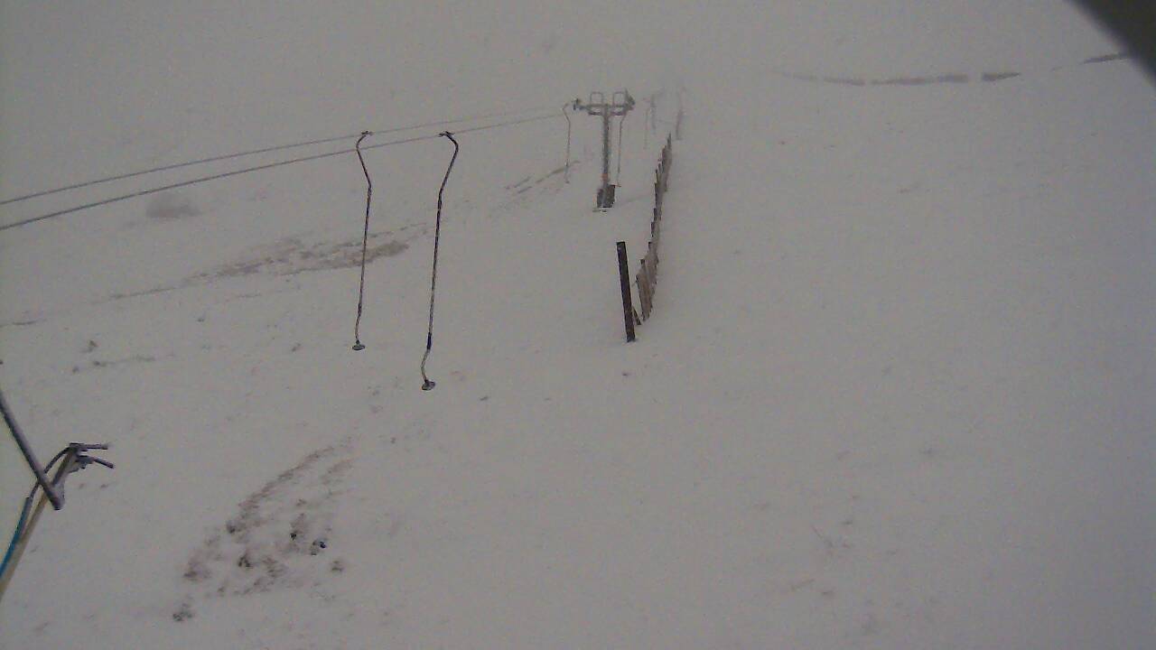 Image from 2022/02/14 for Tow Hut