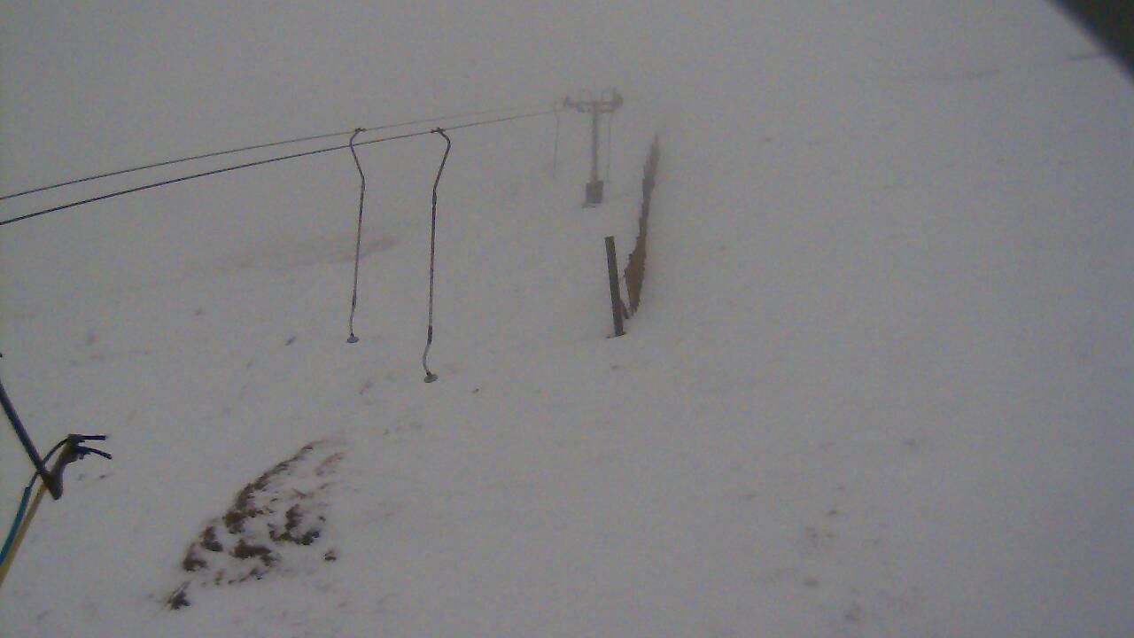 Image from 2022/02/14 for Tow Hut