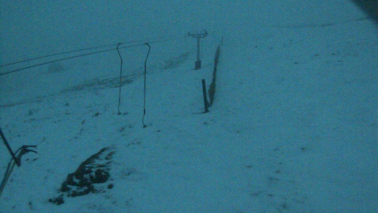 Image from 2022/02/15 for Tow Hut