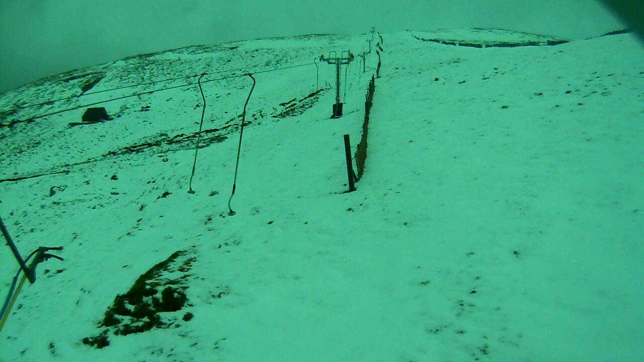 Image from 2022/02/15 for Tow Hut