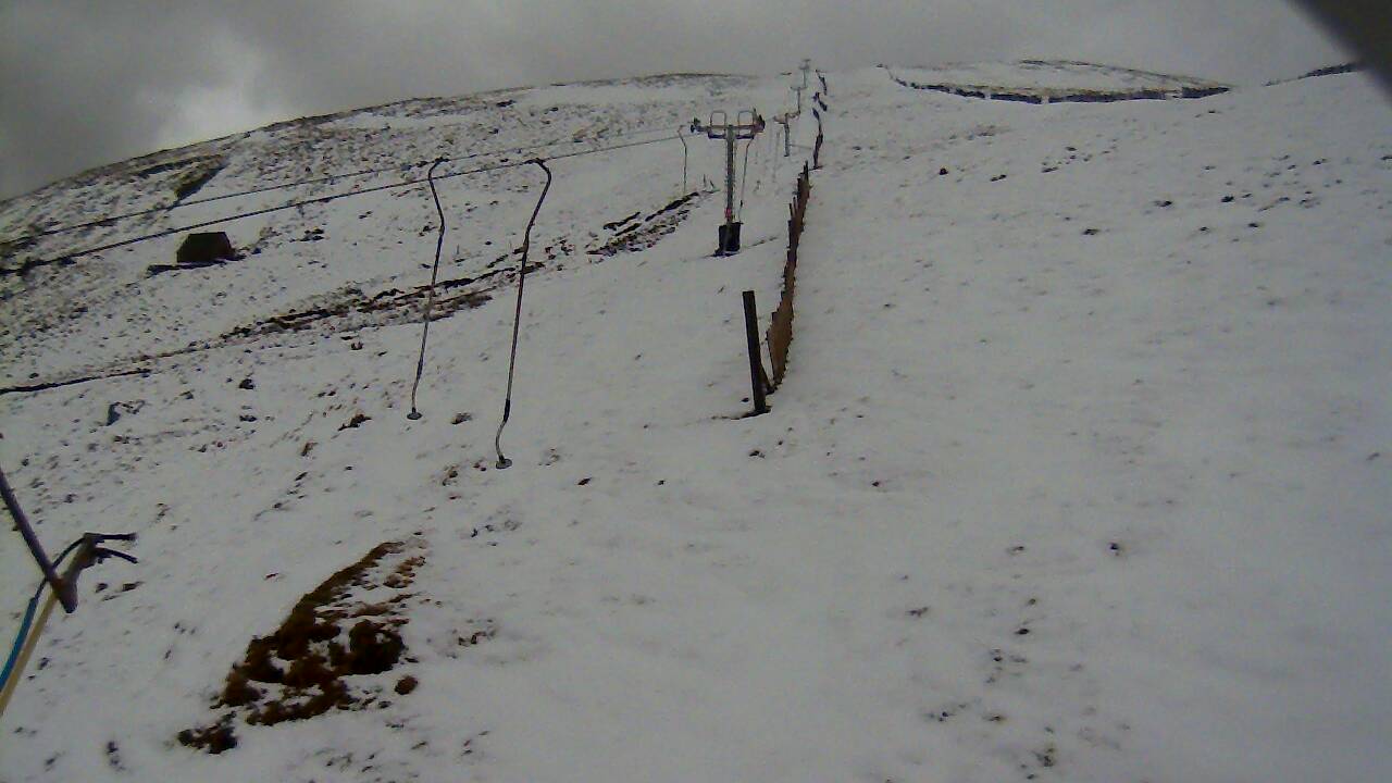 Image from 2022/02/15 for Tow Hut