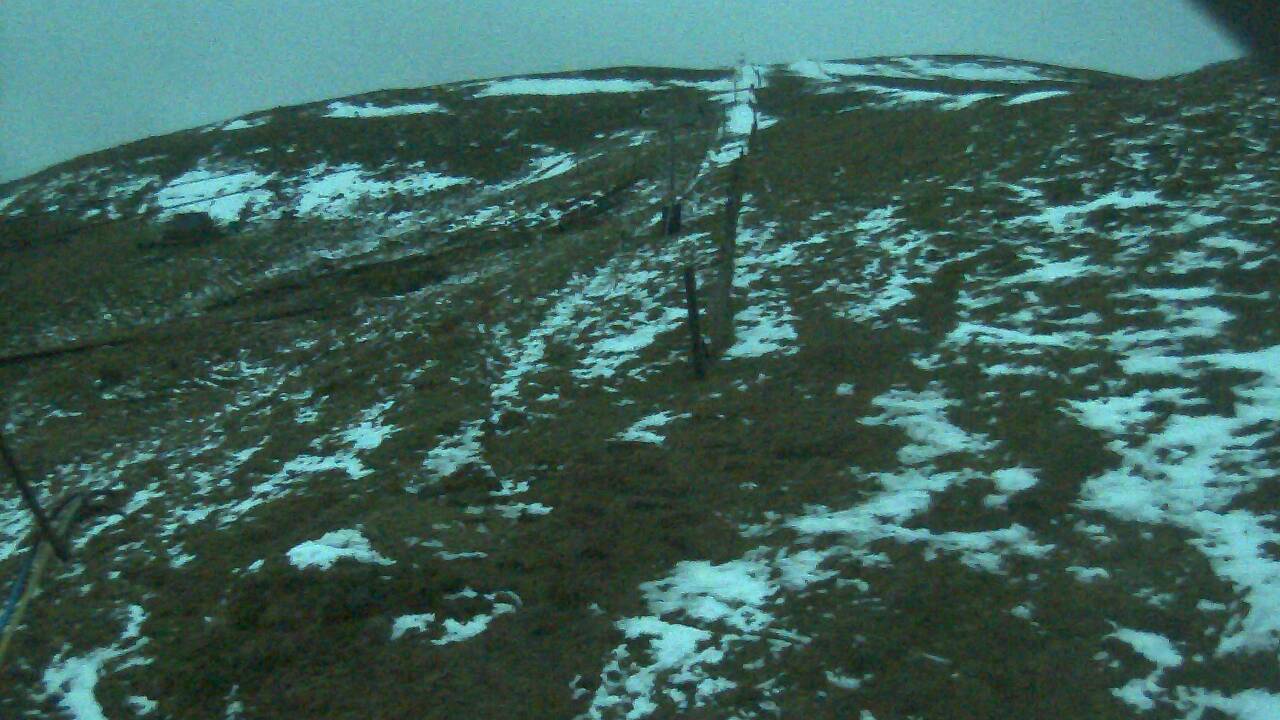 Image from 2022/02/16 for Tow Hut