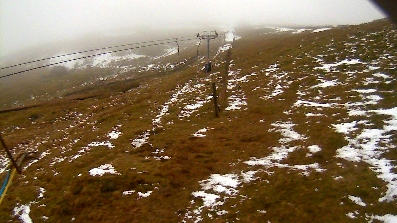 Image from 2022/02/16 for Tow Hut