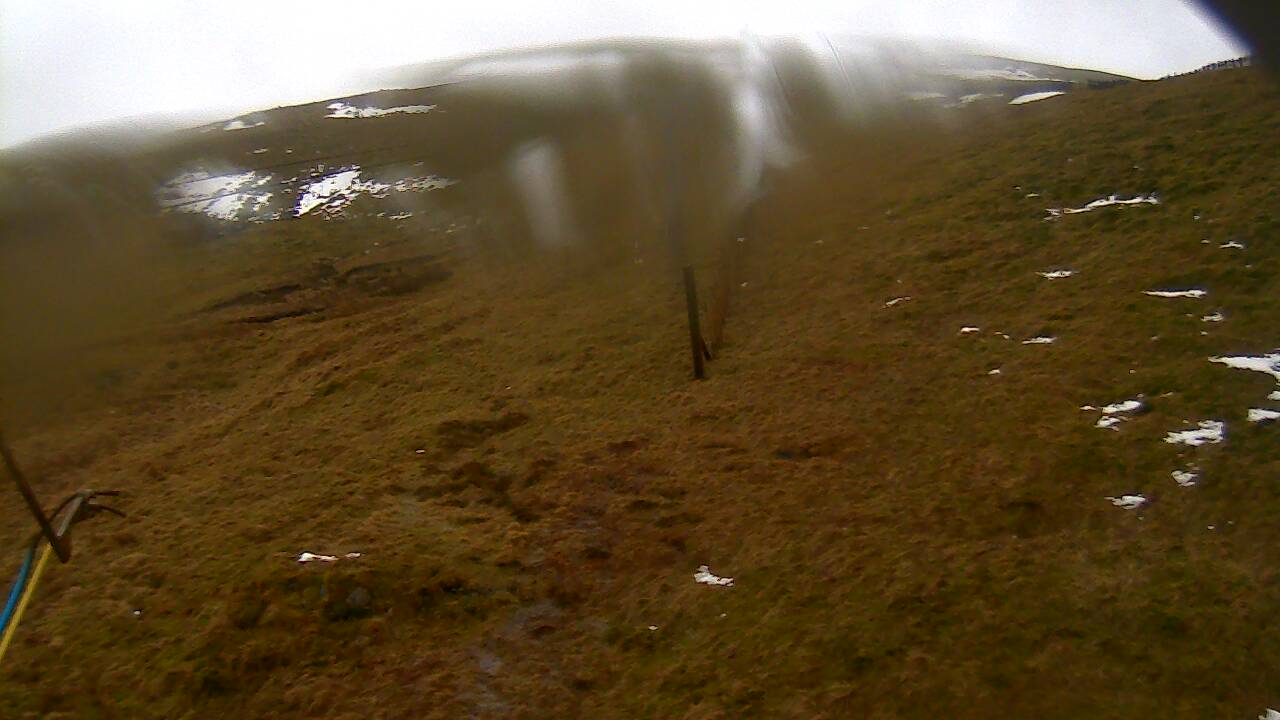 Image from 2022/02/16 for Tow Hut